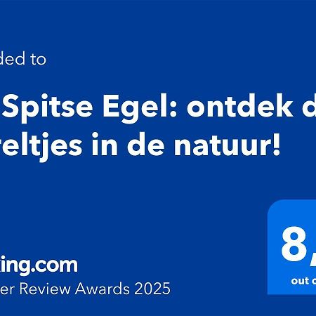 De Spitse Egel: Ontdek De Pareltjes In De Natuur! Otterlo Dış mekan fotoğraf